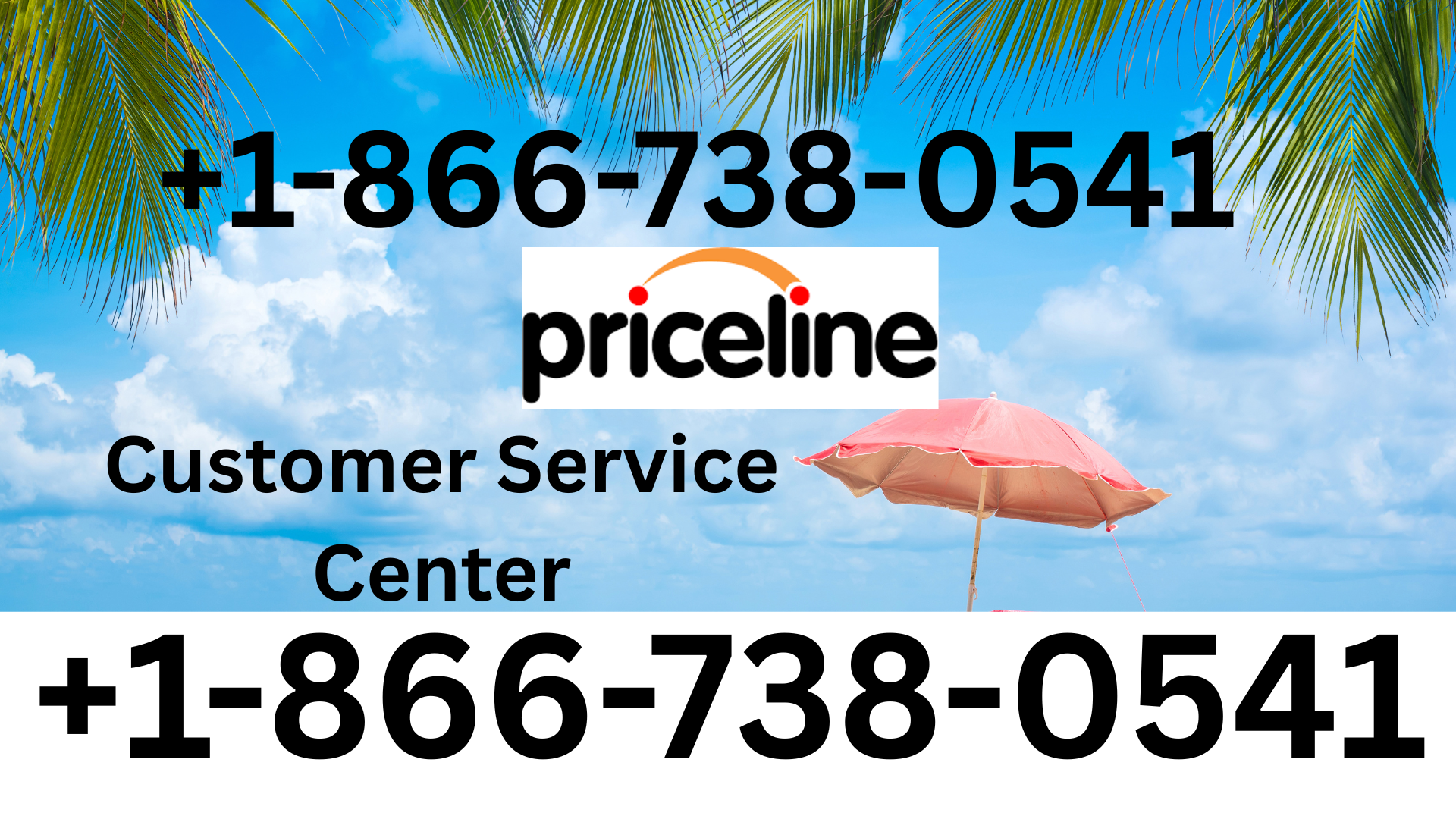 Many Ways to Access Priceline&reg;&trade; Customer Service Step by Step Comprehensive Guide